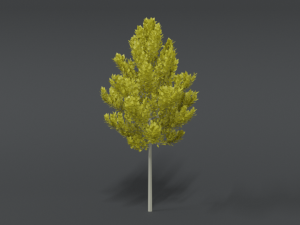 cartoon style tree 3D मॉडल