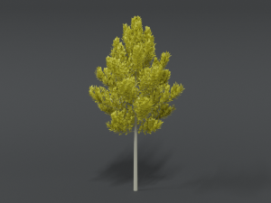 cartoon style tree 3D मॉडल