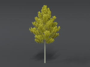 cartoon style tree 3D मॉडल
