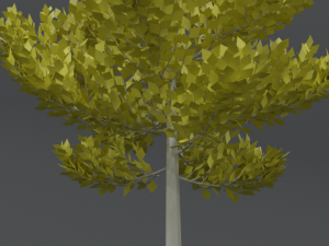 cartoon style tree 3D मॉडल