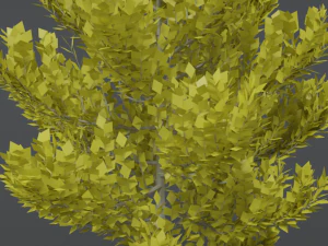 cartoon style tree 3D Model