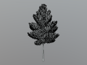 cartoon style tree 3D मॉडल