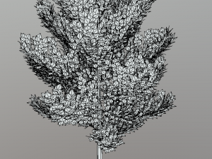 cartoon style tree 3D मॉडल