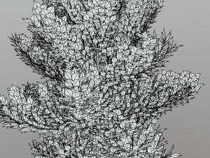 cartoon style tree 3D मॉडल