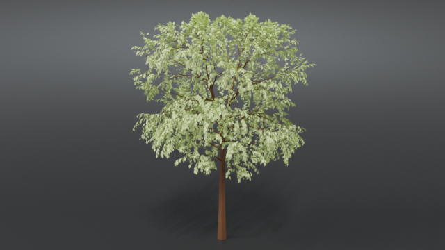 cartoon tree 3d 3D Model .c4d .max .obj .3ds .fbx .stl .blend 