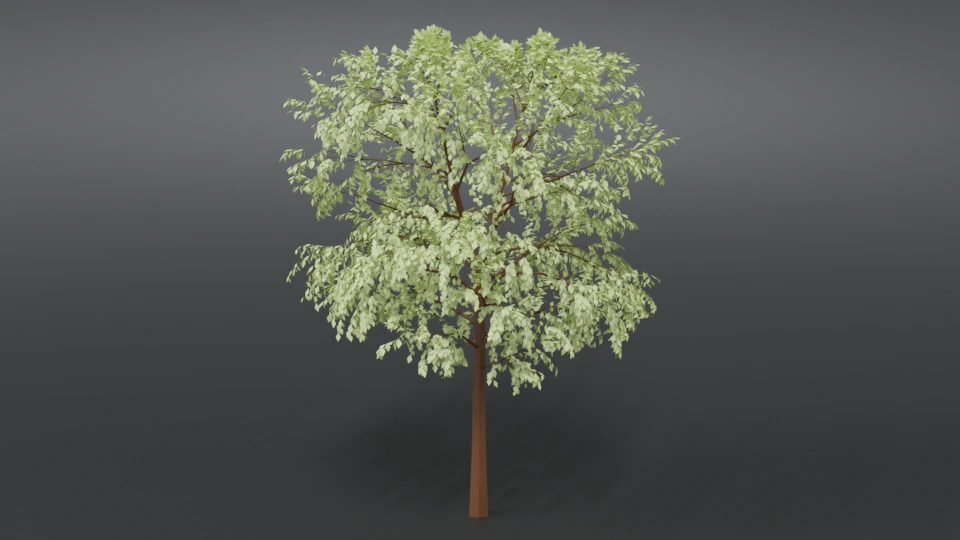 cartoon tree 3d 3D Model .c4d .max .obj .3ds .fbx .stl .blend