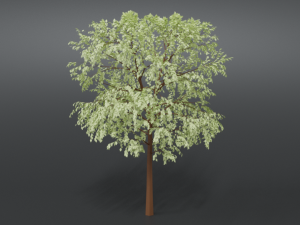 cartoon tree 3d 3D Model