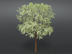 albero dei cartoni animati 3d Modello 3D