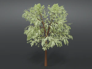 cartoon tree 3d 3D Model