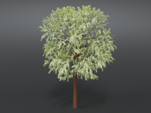cartoon tree 3d 3D Model