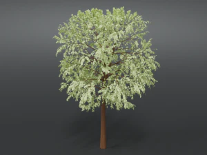cartoon tree 3d 3D Model