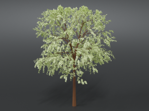 cartoon tree 3d 3D Model