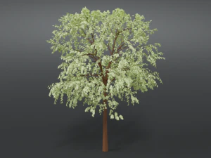 cartoon tree 3d 3D Model