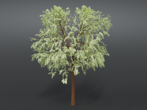 cartoon tree 3d 3D Model