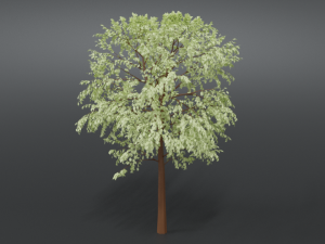cartoon tree 3d 3D Model