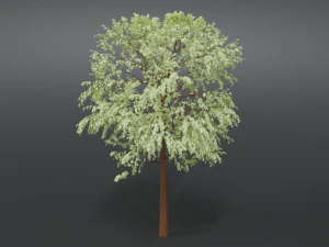 cartoon tree 3d 3D Model