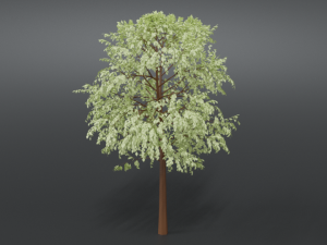 cartoon tree 3d 3D Model