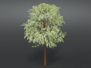 cartoon tree 3d 3D Model