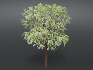 cartoon tree 3d 3D Model
