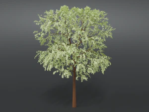 cartoon tree 3d 3D Model