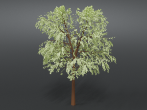 cartoon tree 3d 3D Model