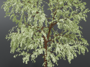 cartoon tree 3d 3D Model