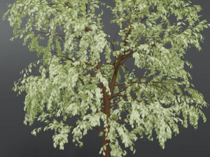 cartoon tree 3d 3D Model