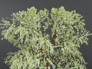 cartoon tree 3d 3D Model