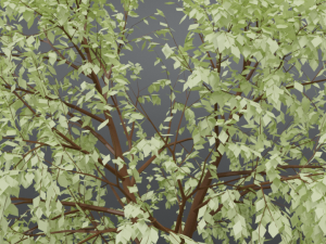 cartoon tree 3d 3D Model