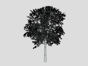 cartoon tree 3d 3D Model