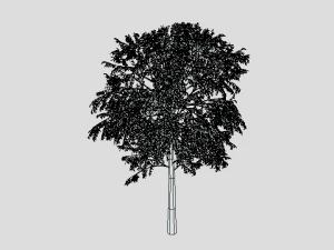 cartoon tree 3d 3D Model