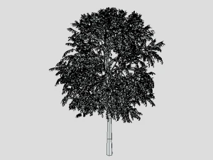 cartoon tree 3d 3D Model