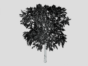 cartoon tree 3d 3D Model