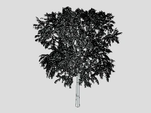 cartoon tree 3d 3D Model