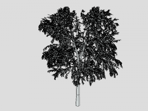 cartoon tree 3d 3D Model