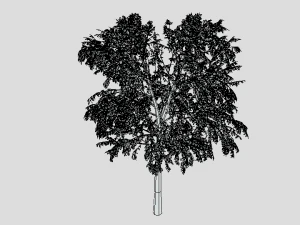 cartoon tree 3d 3D Model