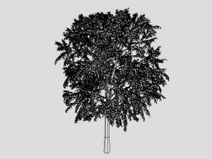 cartoon tree 3d 3D Model