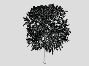 cartoon tree 3d 3D Model