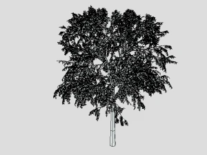 cartoon tree 3d 3D Model