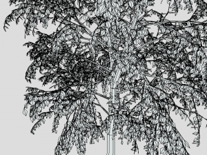 cartoon tree 3d 3D Model