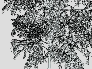 cartoon tree 3d 3D Model