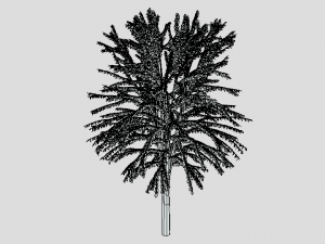 cartoon tree 3d 3D Model
