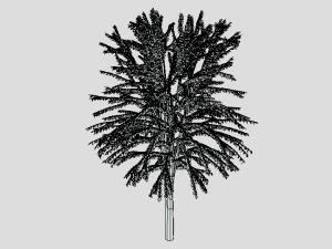 cartoon tree 3d 3D Model