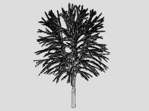 cartoon tree 3d 3D Model