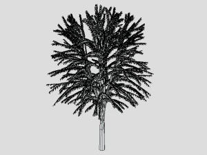 cartoon tree 3d 3D Model