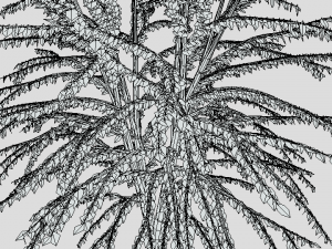 cartoon tree 3d 3D Model