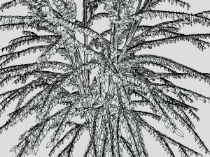 cartoon tree 3d 3D Model