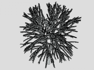 cartoon tree 3d 3D Model