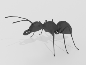 low poly cartoon ant 3Dモデル
