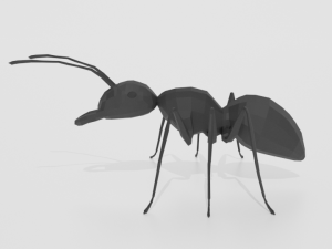 low poly cartoon ant 3D 모델